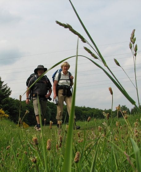 Mit dem Naturerlebnis-Monitor Deutschland soll u.a. herausgefunden werden, welche Motive Tages- und Übernachtungsgäste für ihren Natururlaub haben.