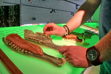 NLP-Tor Höfen3_Weisgerber.jpg