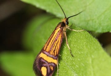  Nächtliche Schönheiten im Nationalpark Eifel