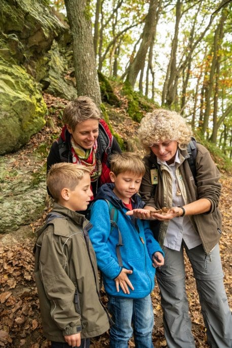 Nationalpark Eifel-2018-097.jpg