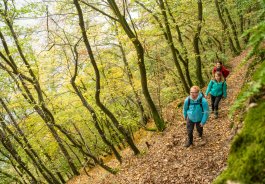 Nationalpark Eifel-2018-129.jpg