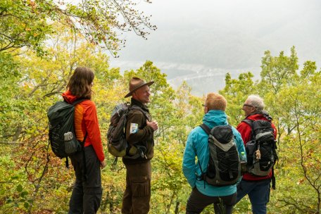 Nationalpark Eifel-2018-204.jpg