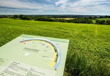Nationalpark Eifel: Mit Ranger drinnen und draußen die Natur erkunden 