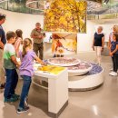 Nationalpark-Ranger sind nicht nur im Außeneinsatz tätig: Sie veranstalten beispielsweise auch Führungen, Gruppenangebote und Kindergeburtstage in der Erlebnisausstellung „Wildnis(t)räume“ im Nationalpark-Zentrum Eifel.