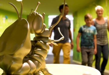 Nationalpark-Zentrum, Staumauer und Co. auf eigene Faust entdecken