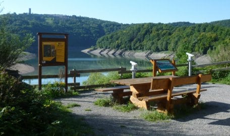 Nationalparkverwaltung Eifel_T.Wiesen 4_web.jpeg