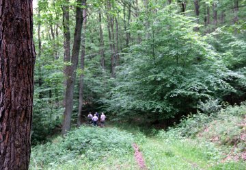 Nationalparkverwaltung lädt für 18. Juni zur Fragestunde in den Kermeter ein