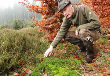 Natur und Musik sind seine Leidenschaft - Gräser und Moose im Nationalpark Eifel sein aktuelles Hobby
