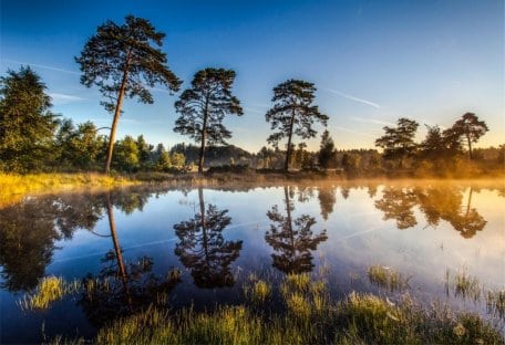 Naturschutzgebiet Elmpter Schwalmbruch