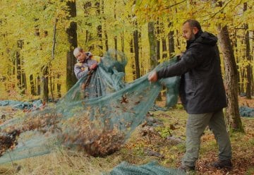 Netze am Waldboden sichern kostbaren Genpool heimischer Buchen