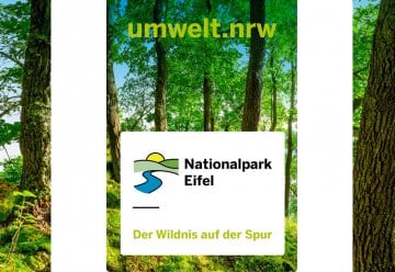 Neue multimediale Broschüre bietet Informationen und Interaktionen zum Nationalpark Eifel: www.nationalpark-digital.nrw
