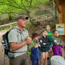 Nicht nur für Kinder ist eine Führung durch ausgebildete Junior Ranger*innen ein besonderes Erlebnis! Spielerisch und auf Augenhöhe geht es durch den Nationalpark Eifel. (