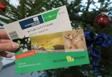 Noch keine Idee für Weihnachten? - Originelles Geschenk aus dem Nationalpark Eifel für Kurzentschlossene