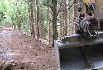 Ökologischer Ausgleich für Bauarbeiten am Radweg Sauerbach