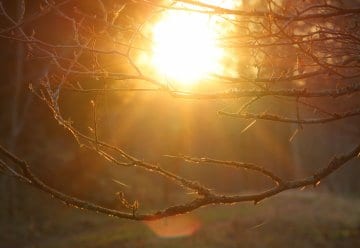 Online-Umfrage für Ausbildungsprojekt