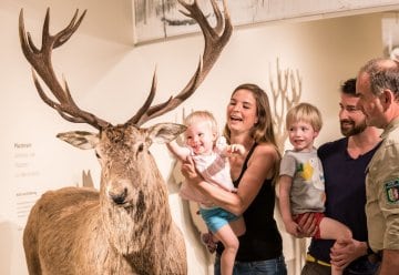 Rangerführungen durch die Erlebnisausstellung „Wildnis(t)räume“ zu Kostümen im Tierreich und zum stürmischen Eifelwetter