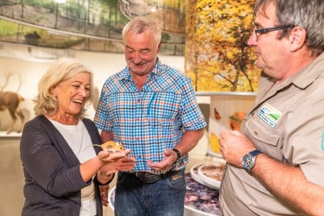 Samstags, sonntags und feiertags um 14 Uhr geht es mit einem Ranger auf eine etwa 90minütige Entdeckungstour durch die "Wildnis(t)räume".