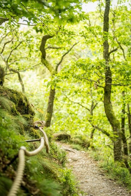 Schöpfungspfad - D. Ketz.jpg