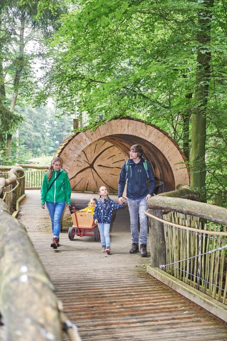 Seit der Eröffnung im Jahr 2014 führt ein breiter, rollstuhlgerechter Holzsteg durch den Mischwald im ökologischen "Herzen" des Nationalparks.