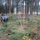 Seit der ersten Permanenten Stichprobeninventur (PSI) im Jahr 2011 hat sich der Wald durch extreme Witterungsereignisse und Borkenkäfer verändert: Es gibt immer mehr Totholz in den Nationalpark-Wäldern, von dem vor allem viele Vögel- und Käferarten profit