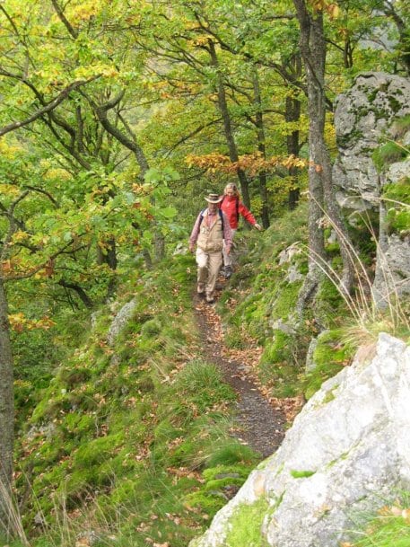 Seit wenigen Monaten führt der Wildnis-Trail in vier Tagesetappen einmal quer durch den Nationalpark Eifel (Quelle: K. Stephan)