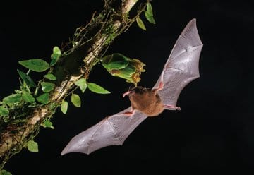Siegerbilder „Glanzlichter der Naturfotografie 2021“ zu Besuch im Nationalpark-Zentrum Eifel