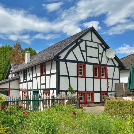 Sirius quadratisch.jpeg