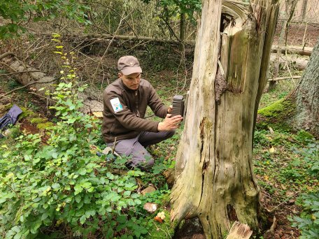 Sönke Twietmeyer vom Fachgebiet Forschung und Dokumentation in der Nationalparkverwaltung Eifel ist in der Nationalparkfläche unterwegs, um die Mess- und Aufnahmestandorte für das KI-Projekt einheitlich einzurichten.