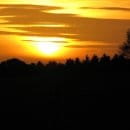 Sonnenuntergang im Nationalpark Eifel (Bildautor: Sascha Wilden).