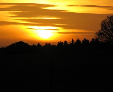 Sonnenuntergang im Nationalpark Eifel (Quelle: S. Wilden)