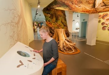 Staunen, entdecken, mehr erfahren - all das bietet die barrierefreie Erlebnisausstellung.