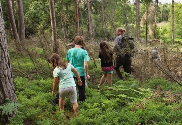 Stellenausschreibung: Wald- und Wildnispädagoge/-pädagogin im Jugendwaldheim Urft (m/w/d)