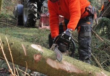 Stellenausschreibungen: Forstwirtinnen und Forstwirte gesucht!