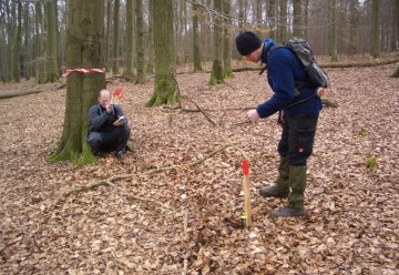 Stichprobeninventur im Nationalpark Eifel