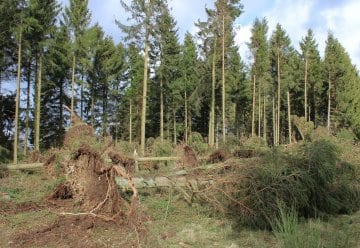 Sturmfolgen: Noch nicht alle Wanderwege frei