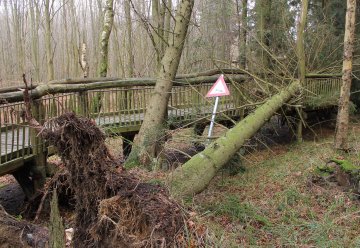 Sturmfolgen in der Nationalpark-Region