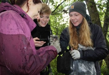 Sumpfspitzmaus – Rarität im Nationalpark Eifel entdeckt