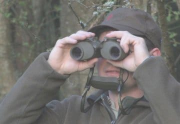 TV-Tipp: Schulfilm Wege in die Wildnis - 4 Jahreszeiten im Nationalpark Eifel