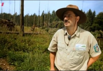 TV-Tipp: &quot;Wildnis im Westen - ein Nationalpark verändert die Eifel&quot;