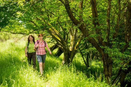 The National Park Administration has marked all approved trails with wooden signs and set up notice boards with maps to welcome you at the access points.