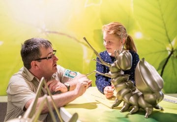 The exhibition invites you to embark on a journey of discovery