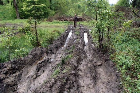 Tiefe Furchen hinterließen die Fahrzeuge entlang des Amselbaches im Kermeter.