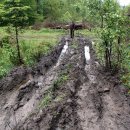 Tiefe Furchen hinterließen die Fahrzeuge entlang des Amselbaches im Kermeter.