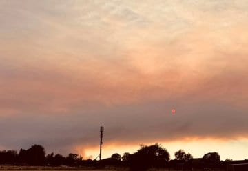 Touren abgesagt: Weiterhin starke Rauchentwicklung durch Großbrand im Hohen Venn