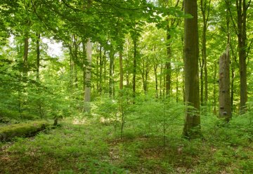 Trailer zum neuen Nationalparkfilm veröffentlicht