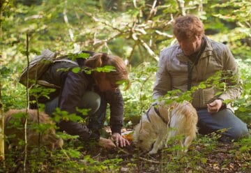 Trüffelhund Jule spürt 15 Arten bei Einsatz im Nationalpark Eifel auf