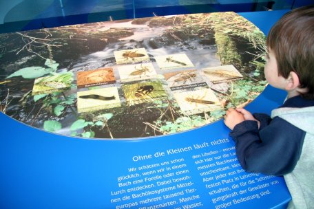 Über 130.000 Besucher kamen von Mai bis November in die drei neuen Nationalpark-Tore mit Ausstellungen. (Quelle: T. Geschwind)