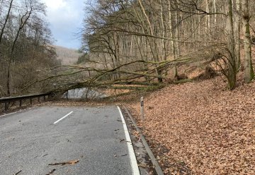 Unwetterwarnung und Sturmfolgen