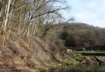 Verkehrssicherung am Waldrand zwischen Altenheim und Rosenbad in Gemünd