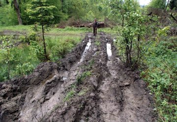 Verwüstungen in sensiblen Waldbereichen /Belohnung für sachdienliche Hinweise ausgesetzt